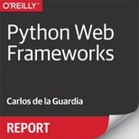 Python Web Frameworks Report Cover